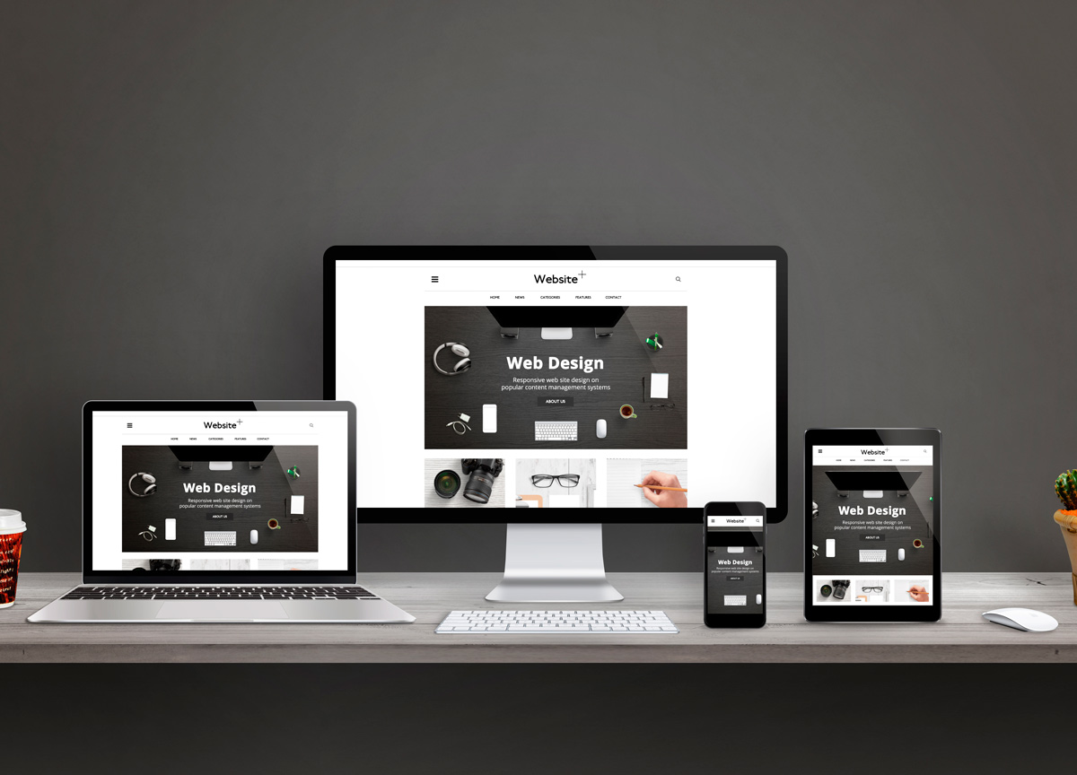 Diseño Web Profesional